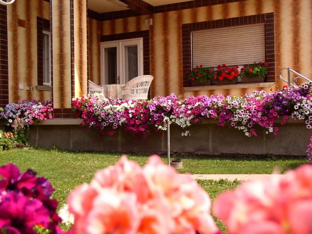 Amalia Apartman Дьюла Экстерьер фото